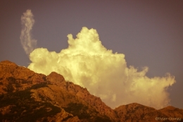 12072010-IMG_2629bis.jpg