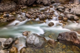olivier gomez,photographe corse,sortie corte,la restonica