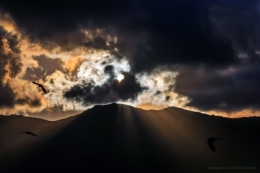 olivier gomez,photographe corse,corbeau,nuages,soleil