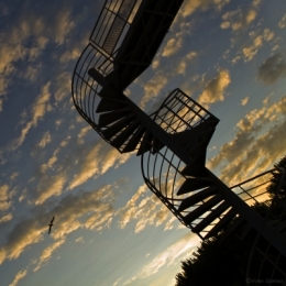 ESCALIER COLIMACON.jpg