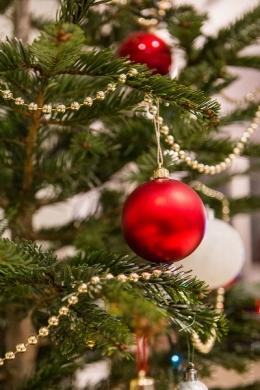olivier gomez photographe corse preparatifs deco noel sapin