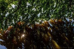 24052016-O_G_4362blog copie.jpg