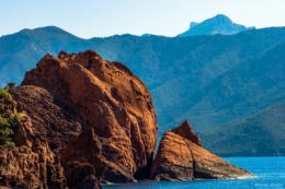 olivier gomez,photographe corse,reserve scandola,corse