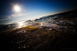 IMG_5220bisblog.jpg