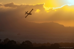 olivier gomez,photographe corse,feux,incendies,corse
