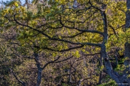 30032016-IMG_6947bisblog.jpg