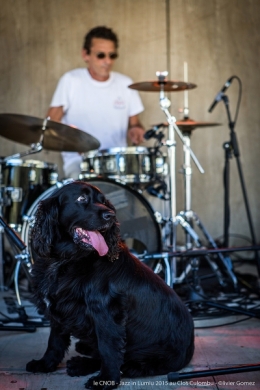 olivier gomez photographe corse jazz in lumiu clos culombu
