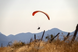IMG_2617bisFBLOG copie.jpg