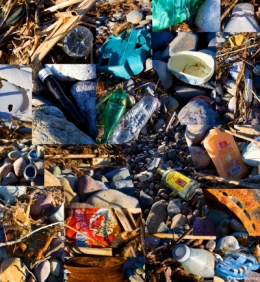 PLAGEPOUBELLEblog.jpg