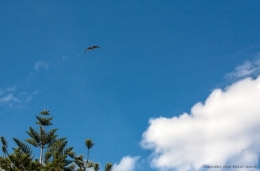 24092016-IMG_6126bisblog.jpg