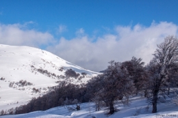 18022017-IMG_8172blog.jpg
