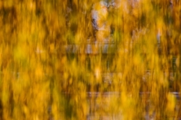 IMG_6012bisblog.jpg