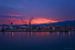 olivier gomez,photographe corse