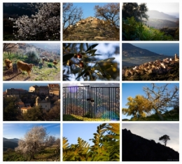PAYASAGES BALANINS BLOG.jpg