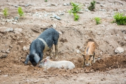 22062014-O_G_3556bisblog.jpg