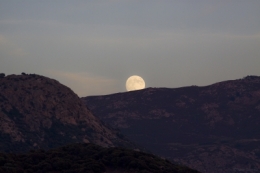 Lever de lune Lumio.jpg
