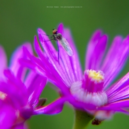 29042021-O_G_4110blogfb2.jpg