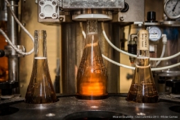 olivier gomez photographe corse clos culombu vin lumiu