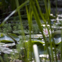 PAESOTEL E CASELLE nenup.jpg