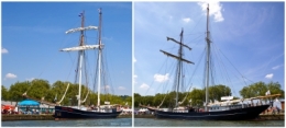 wylde swan blog.jpg