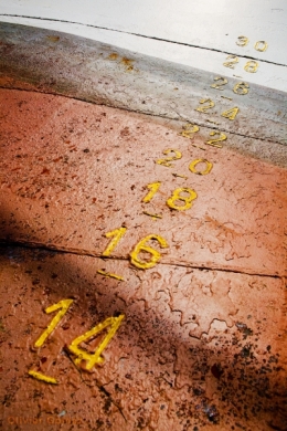 olivier gomez,photographe corse