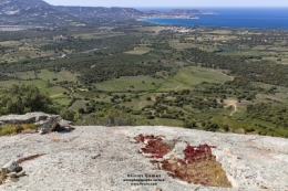 O_G_3079bisBLOGFB copie.jpg