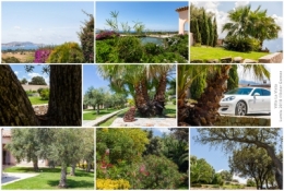 olivier gomez,photographe corse,villa,chambres d'hôtes,la vista,lumiu