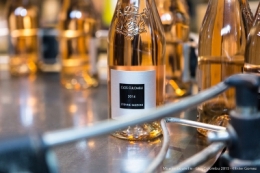 olivier gomez photographe corse clos culombu vin lumiu
