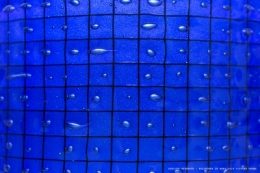 06032018-O_G_6209.jpg