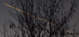 AVION ARBRE NUIT.jpg