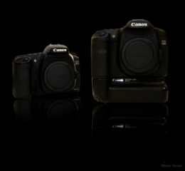 EOS50&20D.jpg