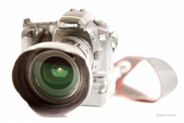 EOS20D.jpg