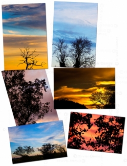 NATURE ET COULEUR.jpg