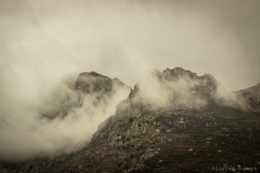29012012-IMG_9311blog copie.jpg