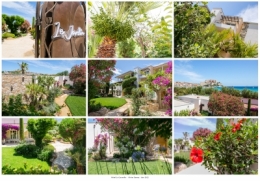 HOTEL LA CARAVELLE JARDIN BLOG.jpg