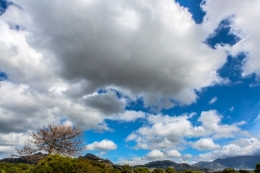 24042016-O_G_2675bisblog.jpg