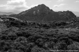 27032016-O_G_1012bisblog2.jpg