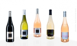 olivier gomez,photographe corse,clos culombu,bouteilles de vin