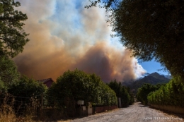 olivier gomez,photographe corse,feu,biguglia,porgo,oletta