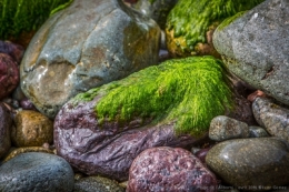 08042016-O_G_1290bisblog.jpg