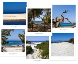 PLAGE Saleccia blog.jpg