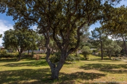 olivier gomez,photographe corse,sant'ambroggio,commune lumiu