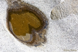 COEUR ROCHERBlog.jpg