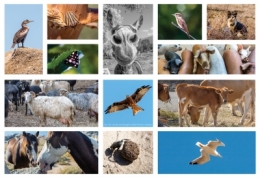 PATCHWORK 17BLOG.jpg