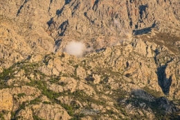 olivier gomez,photographe corse,montegrosso,balagne,corsica