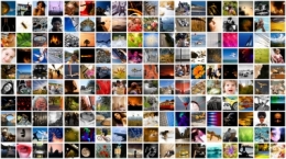 PATCHWORK MON TRAVAIL.jpg