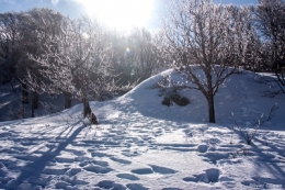 18022017-IMG_8173blog.jpg