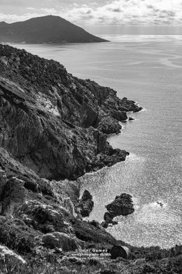 17032023-IMG_6460BLOG copie.jpg