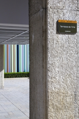olivier gomez,photographe corse,paris,la defense