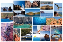PATCHWORK PHOTO WEBBLOG.jpg